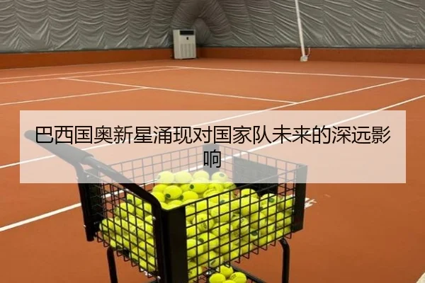 巴西国奥新星涌现对国家队未来的深远影响