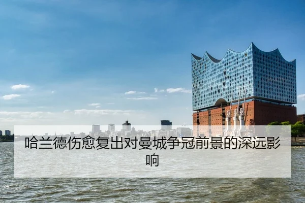 ha-lan-de-shang-yu-fu-chu-dui-man-cheng-zheng-guan-qian-jing-de-shen-yuan-ying-xiang-2-822.jpg